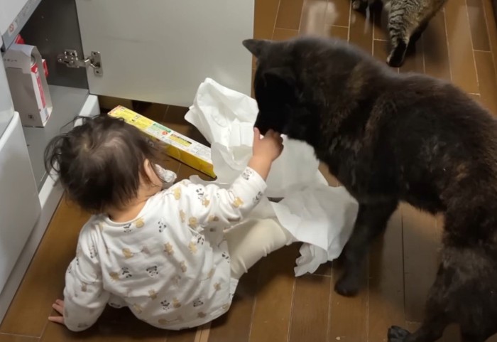 赤ちゃんの後ろ姿と心配そうな犬