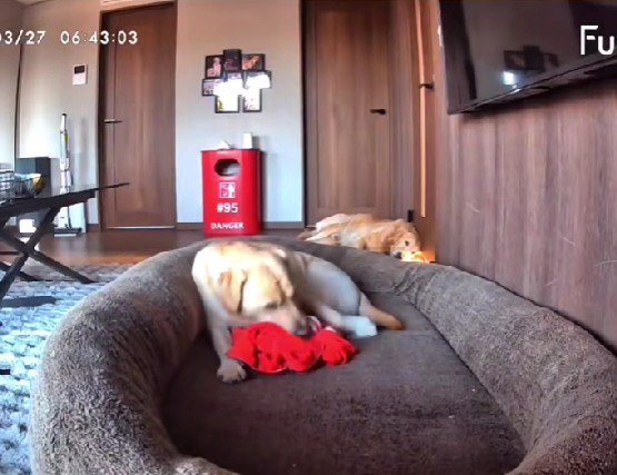 「ママはいつ帰るんだろう…」