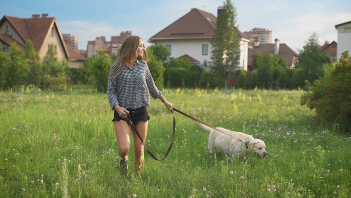 草むらの中をお散歩する犬と女性