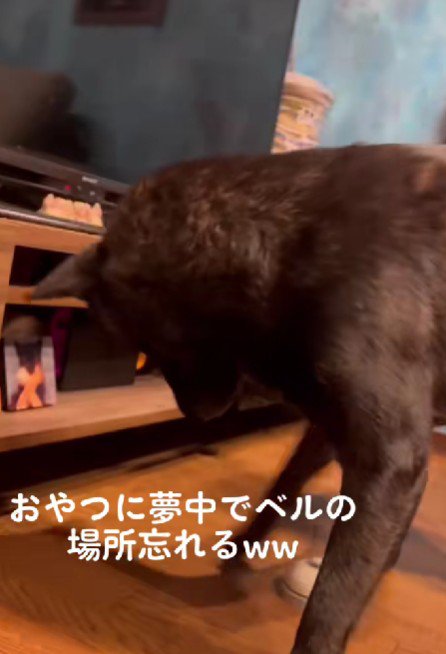 「あれ…？」
