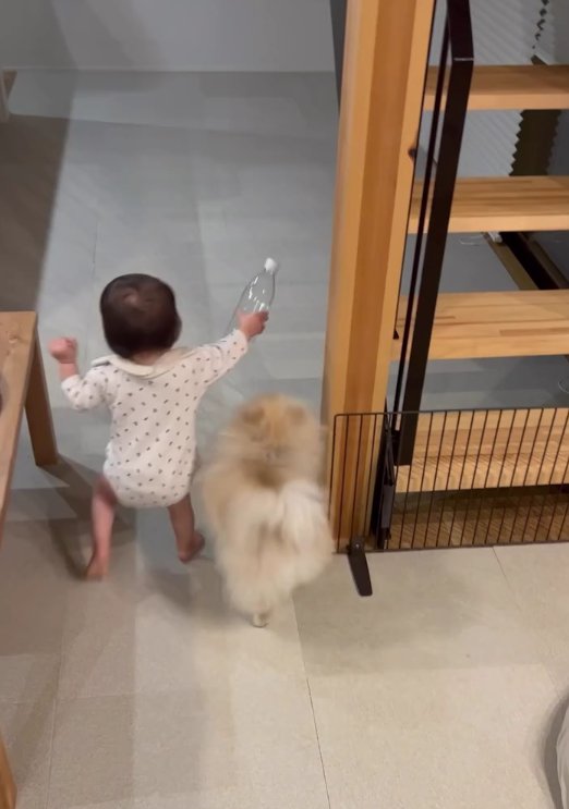 ペットボトルを持っている赤ちゃんと犬の後ろ姿