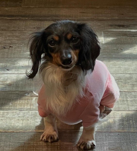 ボロボロの体を非難されて…