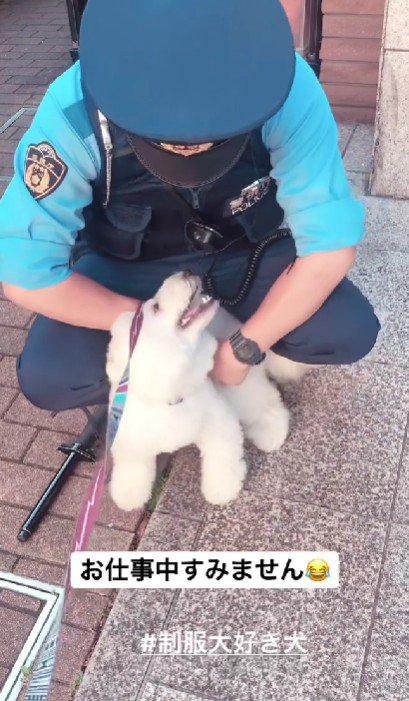「見回り手伝うよ！！」