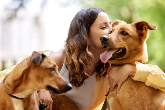 愛犬たちにキスする女性