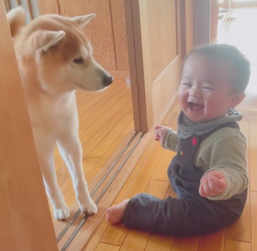 「なんで笑ってるの…？」