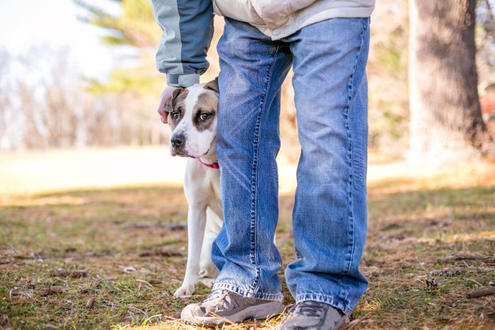 飼い主さんの足元に座る犬