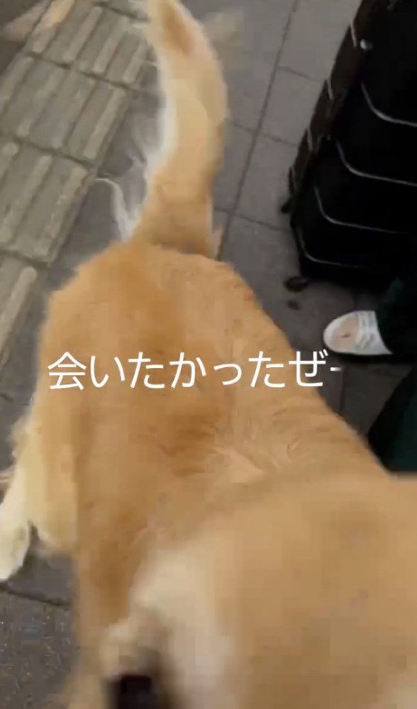 愛情いっぱい