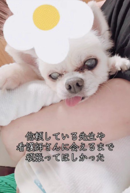 お盆休み中の出来事でした