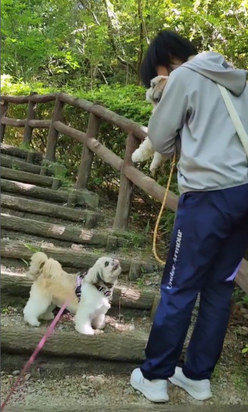 お友達を心配するこまりちゃん3