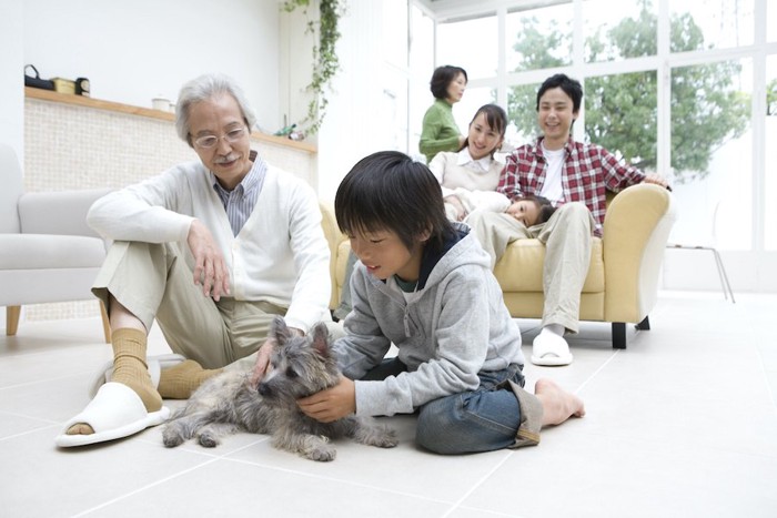 祖父のそばで犬を撫でる男の子と見守る家族