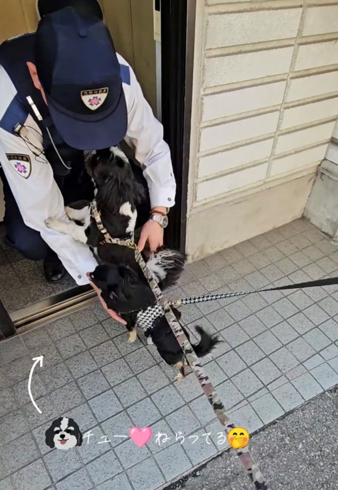 警察官の顔に鼻を近づける犬