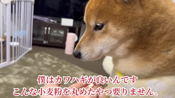 ご褒美も拒否
