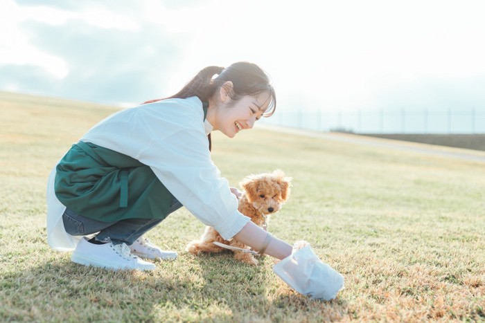 犬の排泄物を拾う女性