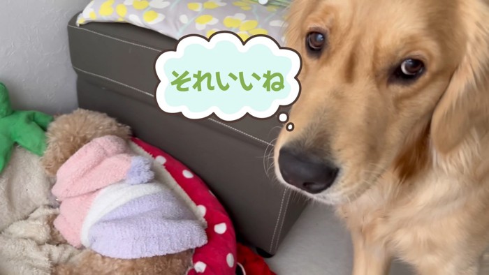 ベッドが羨ましいぷりんくん8