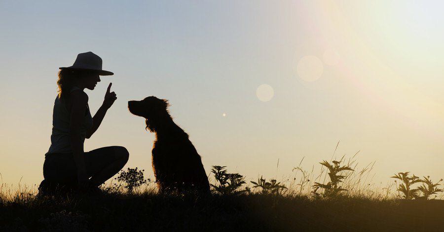 しつけトレーニングする飼い主と犬のシルエット