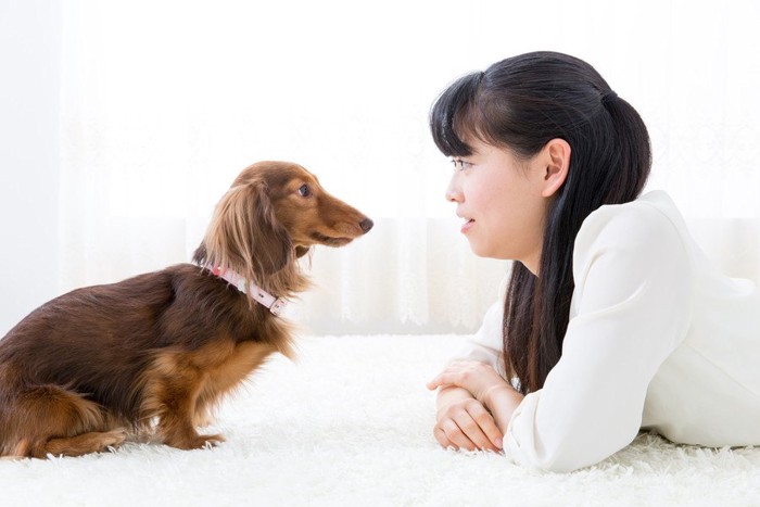 犬と見つめ合う女性