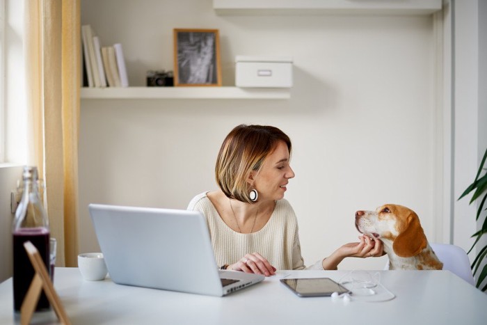 犬に対応する女性