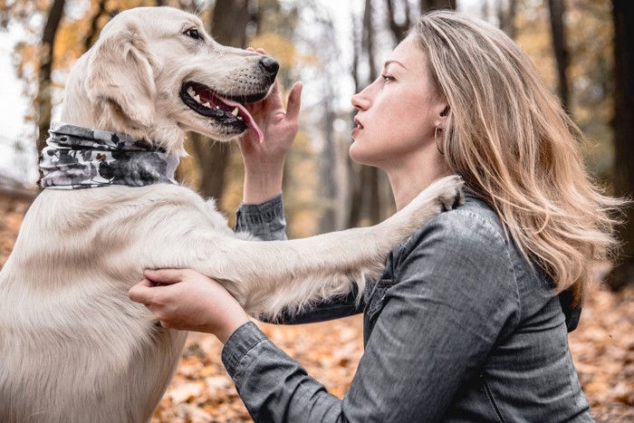 犬を撫でる女性