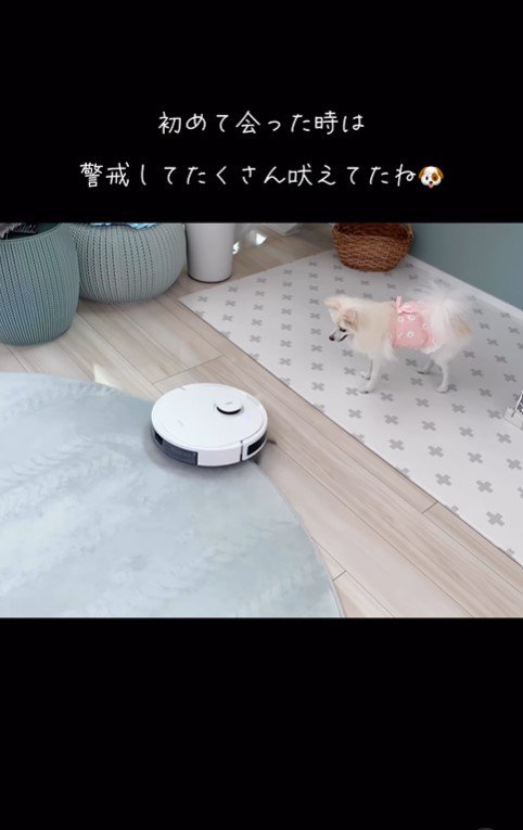 おもちちゃんとロボット掃除機2