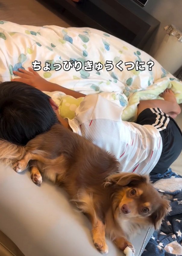 きゅうくつなアムくん