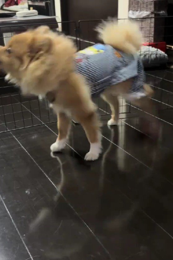 急に動き出した!!