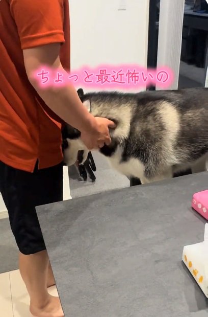 体を押し付けるニーナちゃん