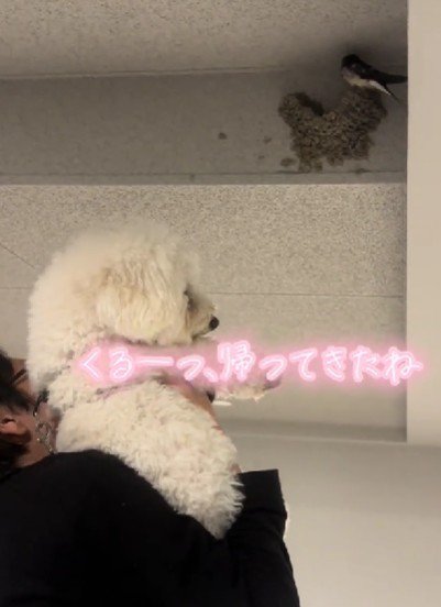 こんな日常が愛おしい