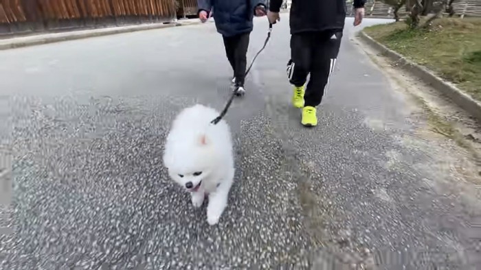 子供2人と犬