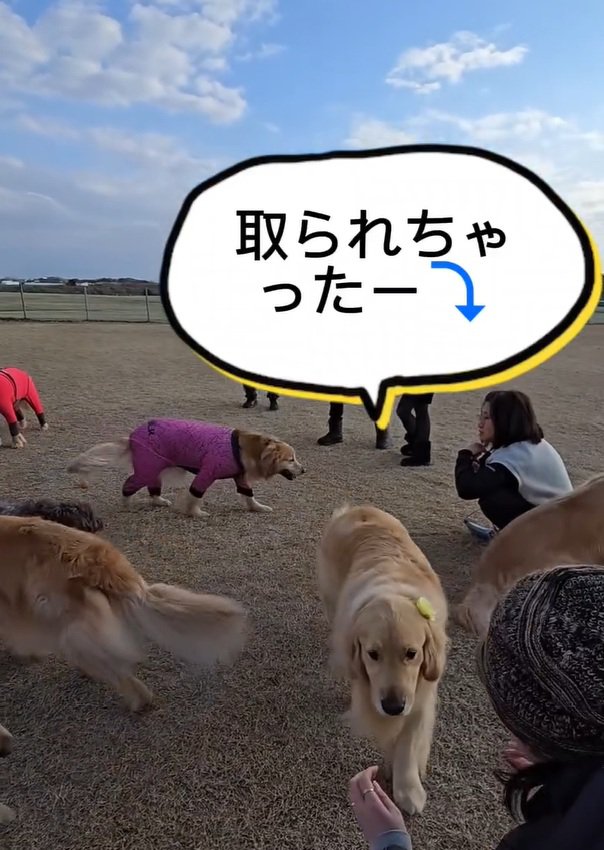 ショックなにこちゃん