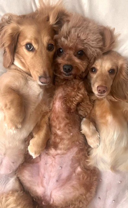 もうひとりじゃない