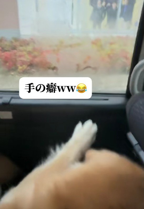 「ご勘弁を~!!」