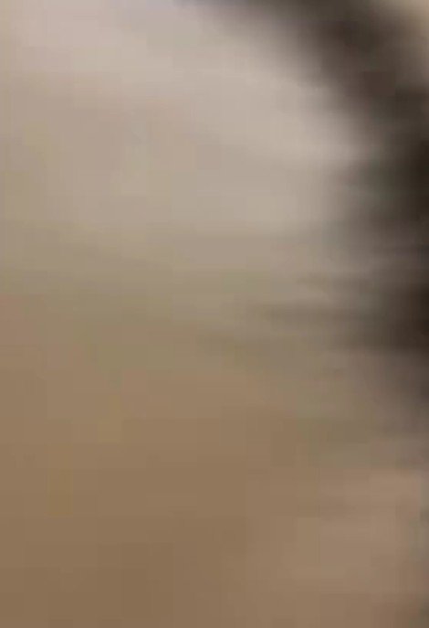 愛情あふれる再会となった