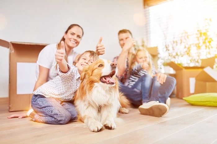 家族と犬