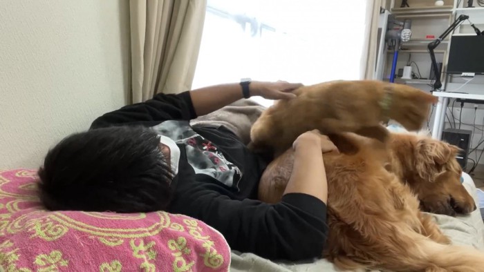 体調不良時のよもぎちゃん＆だいず君の対応7