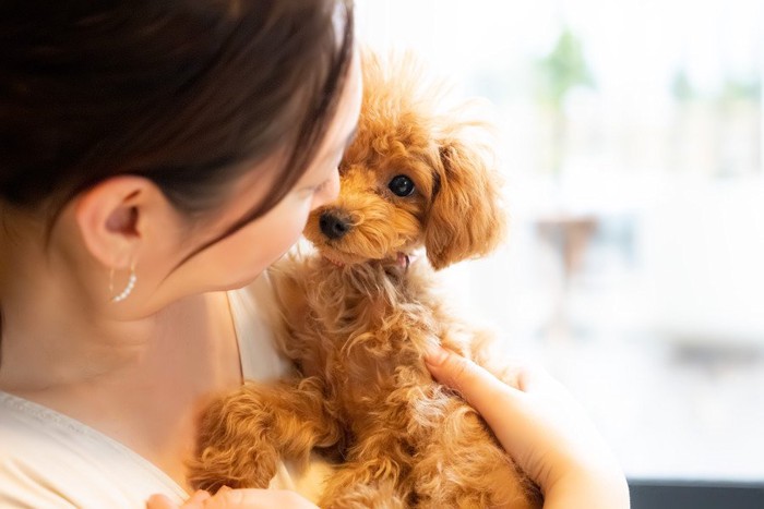 子犬を抱き上げる女性