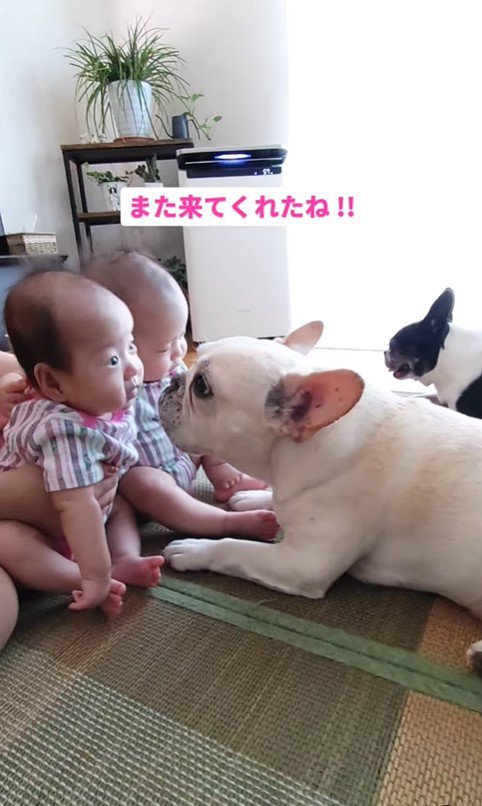 ココくんと双子の赤ちゃん3