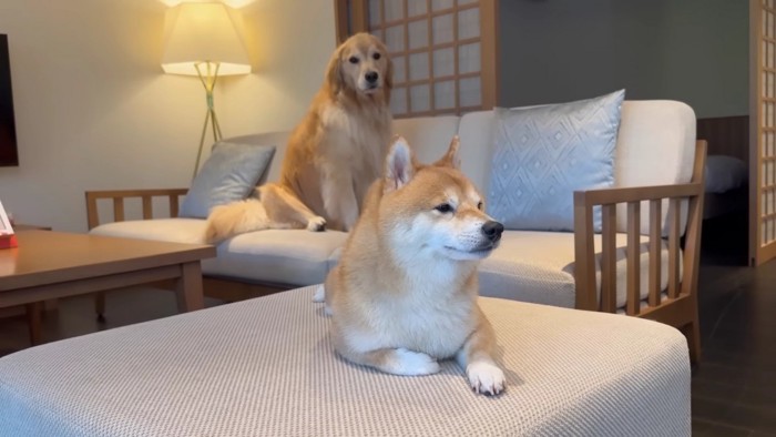 もう眠たい…