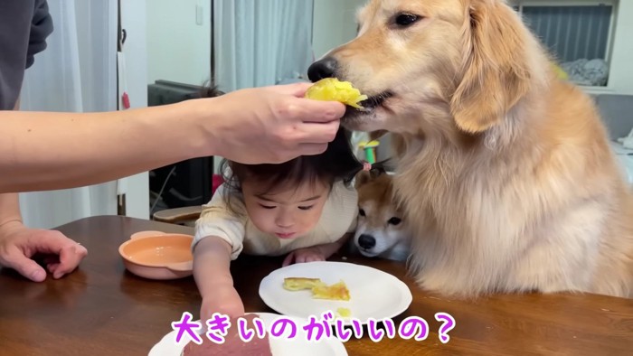 うにくんが挟まれてる…！