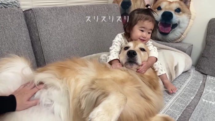 寛大すぎる対応にホッコリ