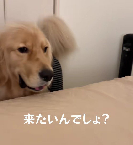 遠慮がちな姿にクスッ