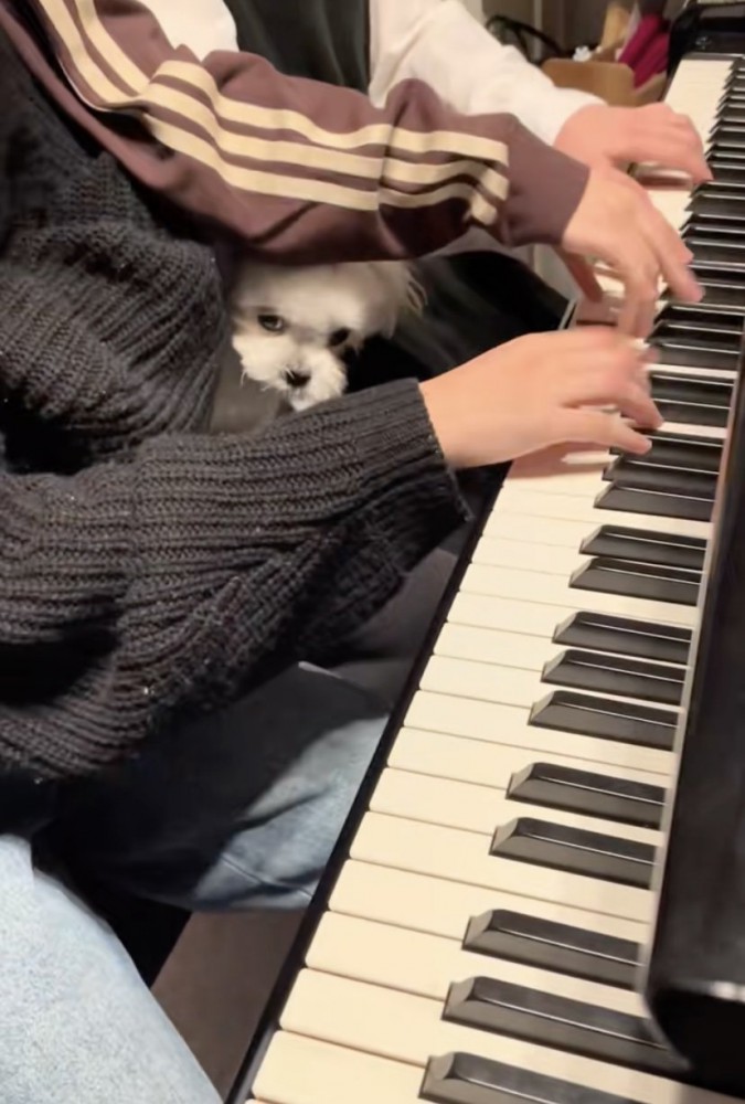 お怒りのころんちゃん