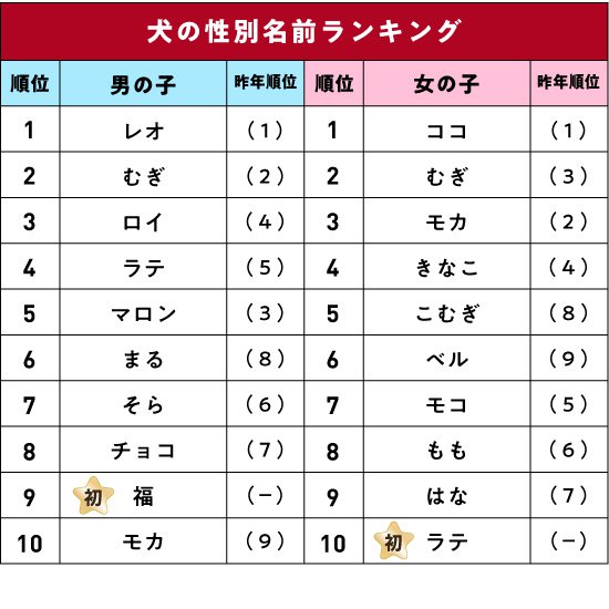 犬の性別名前ランキング