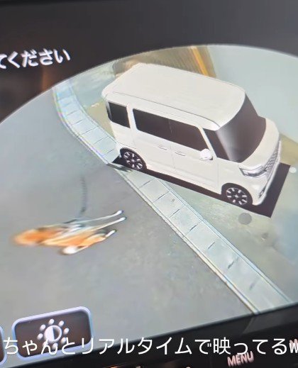 まるでゲームキャラみたい