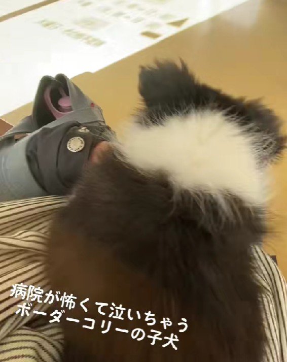 待合室で怖くなってしまい…