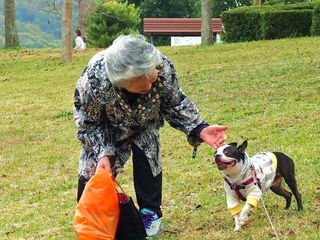 犬とおばあさん