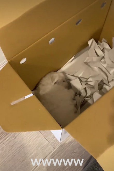 あまりにも無防備