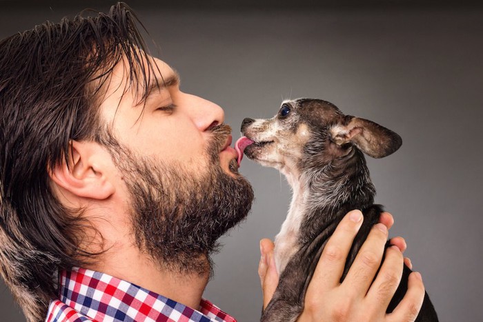 髭の男性にキスするチワワ