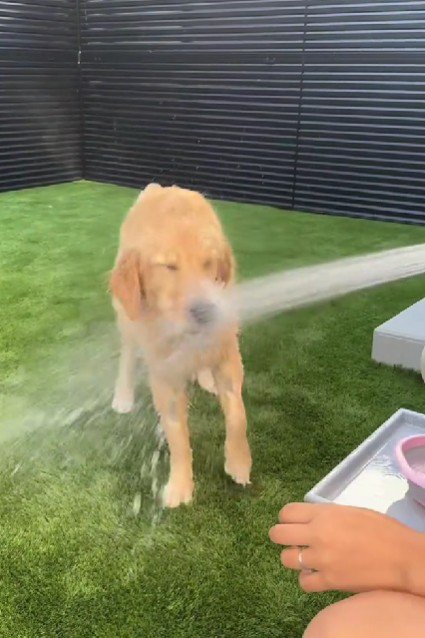 顔からシャワーを浴びる!?