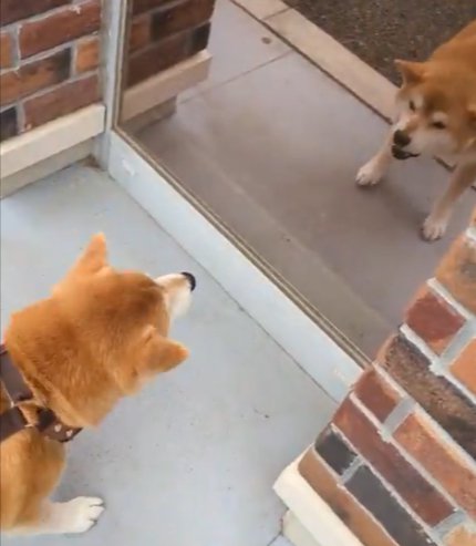 一体