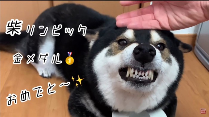 大河くんのトイレットペーパーチャレンジ⑩